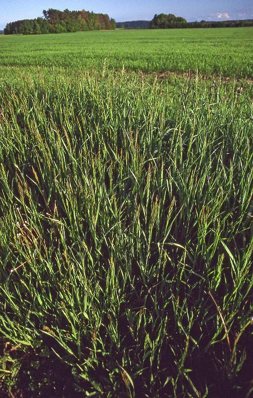 1993-06 Hager City 05.jpg